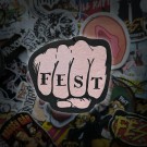 f.e.s.t fist thumbnail