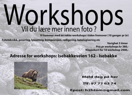 Workshops 