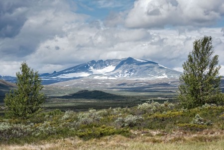 Snøhetta 2286 m.o.h Dovrefjell