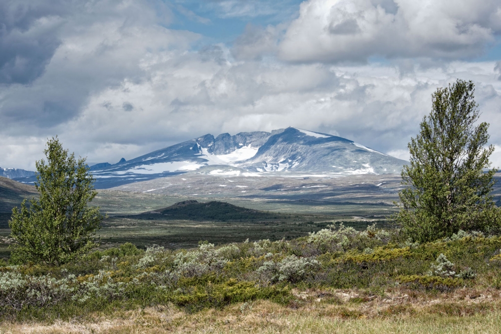 Snøhetta 2286 m.o.h Dovrefjell
Selges i pakker a/25 kort 